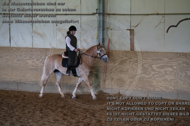 s_K3F04380.JPG